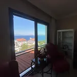 Yenifoca